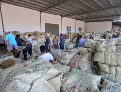 Perusahaan Rokok Lokal Dinilai Selamatkan Harga Tembakau di Sumenep