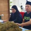 Petani Mulai Tersenyum, Haswal Group Serap Tembakau dengan Harga yang Menjanjikan