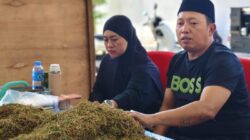 Petani Mulai Tersenyum, Haswal Group Serap Tembakau dengan Harga yang Menjanjikan