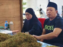 Petani Mulai Tersenyum, Haswal Group Serap Tembakau dengan Harga yang Menjanjikan